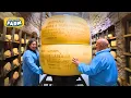 Download Lagu GEWELDIGE Parmezaanse kaasproductie: ontdek de grootste Parmezaanse kaasfabriek!