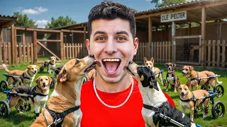 I Adopted 10 Disabled Dogs!