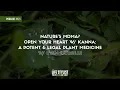 Nature s MDMA Kanna A Potent Legal Plant Medicine w Ryan Latreille 523 Luke Storey