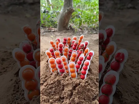 Survival candy in forest#bushcraft #outdoors #camping