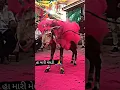Download Lagu jay meldi🌷 maa #video #stetus #gujarati #shortvideo