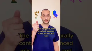 Ever Wondered How Vaginal Yeastinfection Happen 