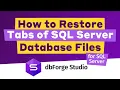 Backup and Restore Database Files in dbForge Studio SQL Server