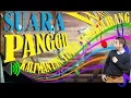 Download Lagu Suara panggil walet kalimantan timur sangkulirang