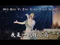Download Lagu Wo Shi Yi Zhi Xiao Xiao Niao 我是一只小小鸟 Helen Huang Live Performance - Lagu Mandarin Lirik Terjemahan