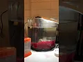 Sea Monkey 3 gal Aquarium