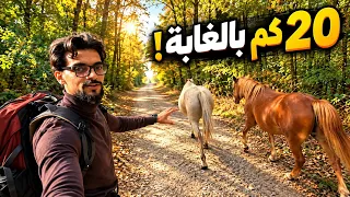 مشيت 20 كيلومتر وسط الغابات الفرنسية… وسوالف من طفولتي بالعراق! 🇫🇷 🌲