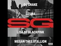 DJ Snake, Ozuna, Megan Thee Stallion & LISA of BLACKPINK - SG (Explicit)