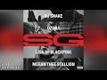 DJ Snake, Ozuna, Megan Thee Stallion \u0026 LISA of BLACKPINK - SG (Explicit)