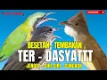 Lagu TEMBAKAN KASAR MEWAH 2025 || BESETAN JENGGOT - CUNGKOK KUNTI GEREJA TARUNG - TEPUS  ||