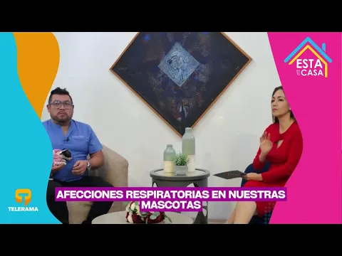 Afecciones respiratorias en nuestras mascotas