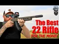 The Best 22 Rifle For The Money Ruger Magpul Hunter X22 First Shots