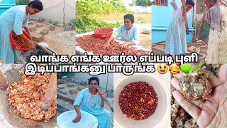 🌱💚💫💥இப்படி புளி இடிச்சி பார்த்ததே இல்லைனு சொல்றாங்க😃|tamarind seed separation 🥰|#villagelife #viral 