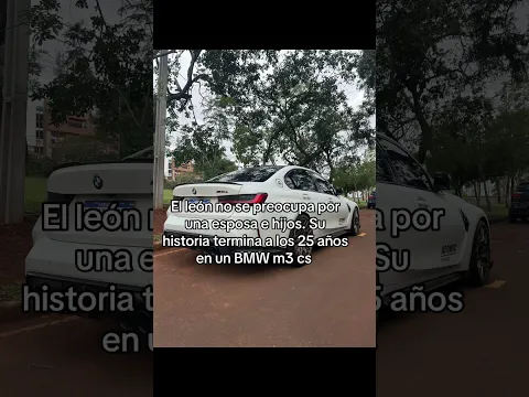 El león no se preocupa 🤑🥵