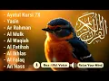Lagu Murottal Alquran Merdu, Ar rahman, Al Mulk, Al Waqiah, Yasin, Al Baqoroh, Al Kahfi, by Alaa Aqel