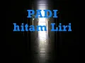 PADI : HITAM