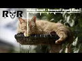 Halsey, Axwell - Graveyard Axwell Remix