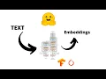Get Embeddings From BERT