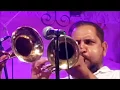 Download Lagu Sinise Stankovika Band -New Unseen video Brocica Avilaja - Guca 2017 - Dijahtal Arts