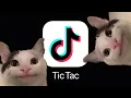 Download Lagu If Beluga owned TikTok...