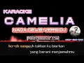 Download Lagu CAMELIA | KARAOKE NADA CEWE | VERSI DJ ALDY MUSIC358 | LAGU VIRAL TERBARU | RHOMA IRAMA