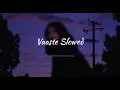 Vaaste Song (Slowed+Reverb)