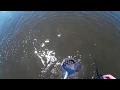 Friendly Metal Detecting - beach metal detecting