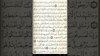 ماهر المعيقلي سورة يوسف مكتوبة صفحة 245 مصحف المدينة المنورة جودة عالية 