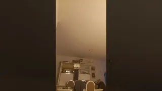 احمد البحيري 