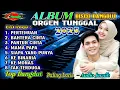 Download Lagu KOLEKSI DANGDUT LAWAS - FULL ALBUM DISCO DANGDUT ORGEN TUNGGAL TERBARU - PERTEMUAN