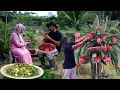 Download Lagu Masakan kangkung sederhana yang bikin boros Nasi, panen buah naga, hidup di desa