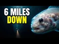 6 Bizarre Deep Sea Creatures Living in the Mariana Trench