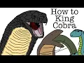 Download Lagu Your Life as a King Cobra
