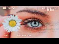 “On Your Mind” vs. “Bad Habit” (Remix) || Shaun Frank, Firebeatz, Alicia Moffet