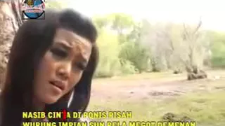 kepelag tela nuri octavia lagu tarling