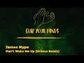 James Hype - Don’t Wake Me Up (Shimza Remix)