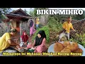 Download Lagu KEHIDUPANKU DIDESA‼️NGAMBIL SINGKONG DIKEBUN BIKIN MAKANAN DESA MIHRO