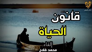 هذه هي الحياة شئت أم أبيت خاطرة جميلة 