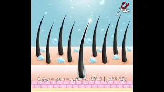 رقية الشعر تساقط بـ عين سحر مرض 