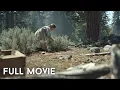 One of the Most Powerful Movie A young woman is left alone The Trail Dramas in English