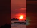 Rodrigo Gallardo "Ay Que Sera Del Sol"