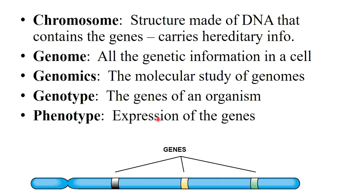 Chapter 8  Microbial Genetics Part 1