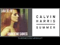 Lana Del Rey vs Calvin Harris - Summer Sadness (Mashup)