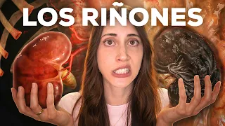 ¿Qué pasaría si tus RIÑONES dejaran de FUNCIONAR?