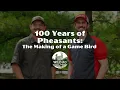 Ep 30 100 Years of Pheasants The Making of a Game Bird