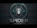 Lagu new demo spider acoustic 