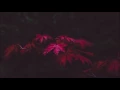 Beauvois - Echo