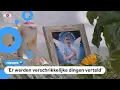 Download Lagu Rechtszaak over gedode Gino begonnen