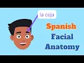 Spanish Anatomy of the Face review quizzing