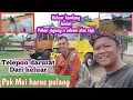 Lagu Panasin si kucing 👉Keluar kandang ambil pohon jagung n sekam alas sapi